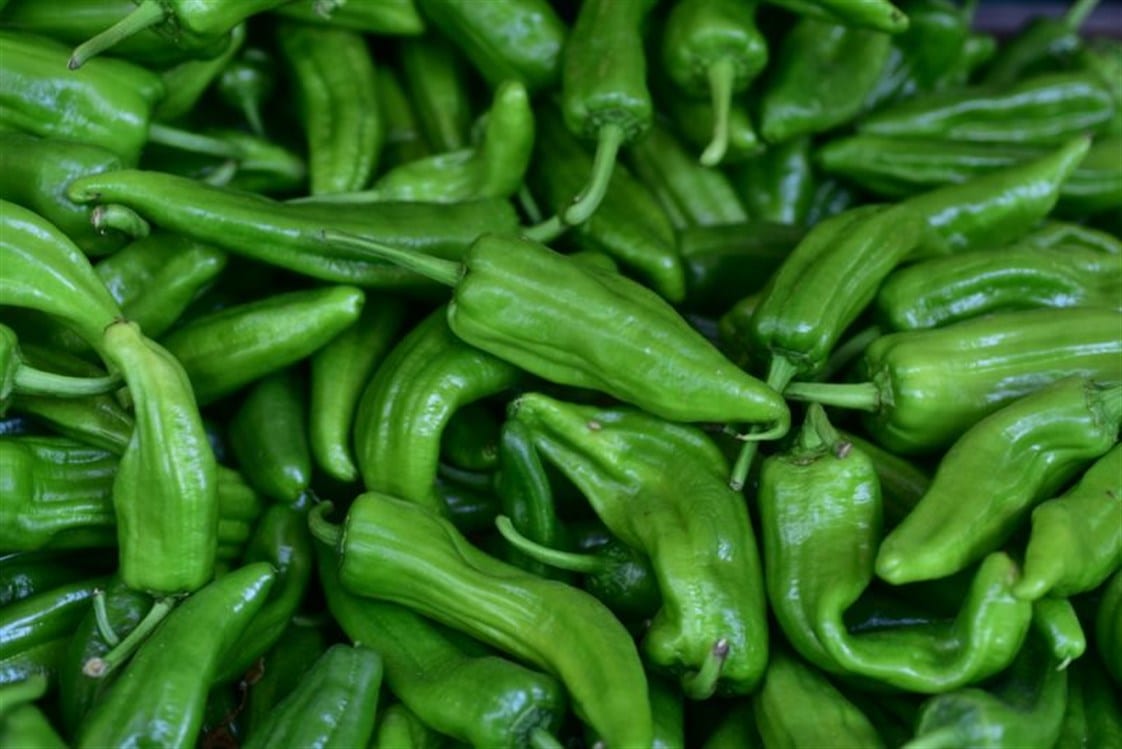 منها تقوية العظام والأسنان. تعرفوا على فوائد السبعة للفلفل الأخضر