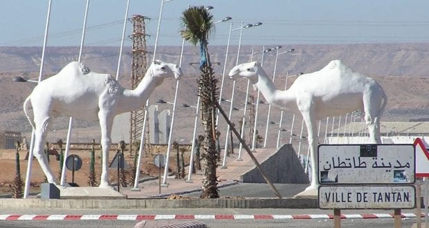 أسرة المقاومة وجيش التحرير بطانطان.. الإستفزازات الأخيرة “للبوليساريو” تمس السلم والأمن بالمنطقة المغاربية