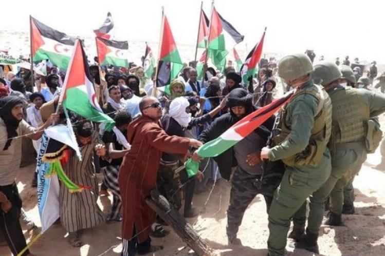 خبير إيطالي.. انتهاك “البوليساريو” للقانون الدولي “لعب بالنار”