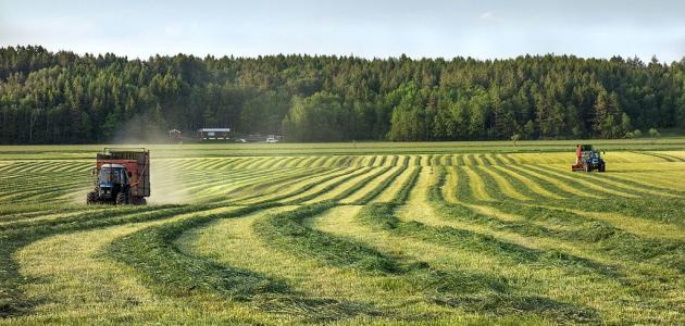 التكنلوجيا الفلاحية.. ثورة رقمية من أجل فلاحة عصرية