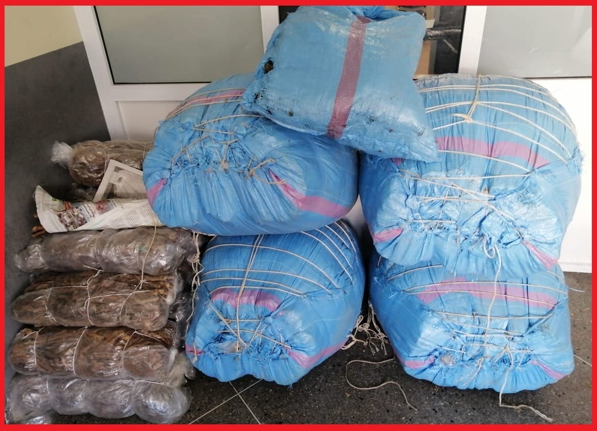 قرقبوا على الدار كاملة… إيقاف زوجين وإبنهما وحجز كمية كبيرة من “الكيف” بأكادير