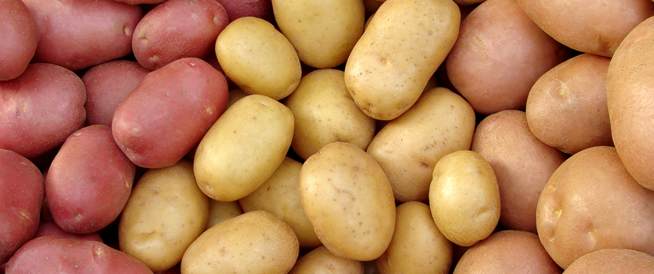 تحذير.. إياك وتناول البطاطس بهذه الطريقة
