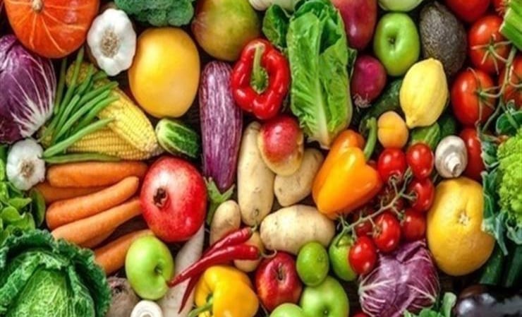 علماء.. اكتشاف مواد غذائية تسرع الشفاء من “كورونا”