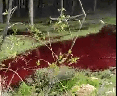 لهذا السبب تحولت مياه واد بوسكورة إلى اللون الأحمر 