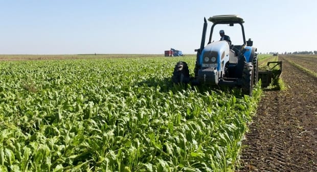 جهة الرباط-سلا-القنيطرة.. التساقطات المطرية تنعش الآمال بموسم فلاحي جيد