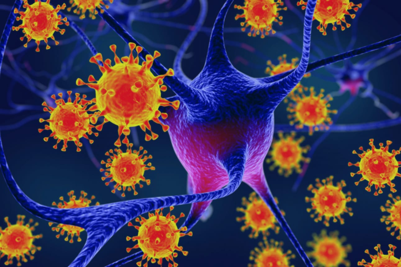 8 حقائق يجب أن تعرفها حول فيروس نيباه القاتل