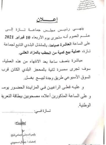 قرار بيع البغل