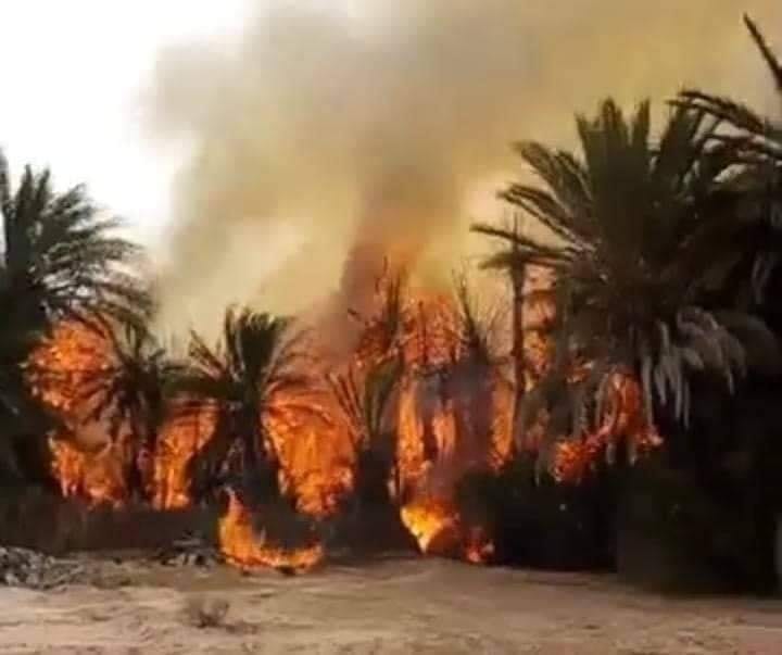 حريق مهول بواحة تغمرت يأتي على أعداد كبيرة من النخيل