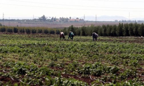 بعد طردهم من طرف الجزائر.. سلطات فجيح تعقد لقاءا مع فلاحين بمنطقة “العرجة” الحدودية