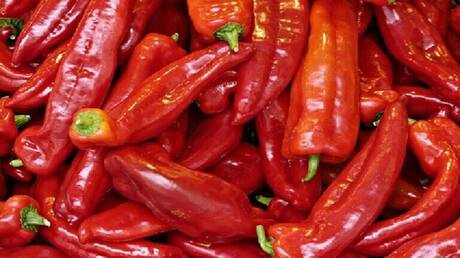هل الفلفل الحار مفيد للجميع؟.. خبيرة التغذية تجيب