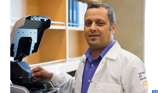 البروفيسور المغربي الأمريكي لبشير بن محمد.. نتائج واعدة نحو لقاح “شامل” ضد فيروسات كورونا