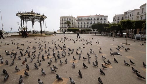 يحدث في الجزائر.. إدانة مدوّن فضح الفساد بعام من الحبس