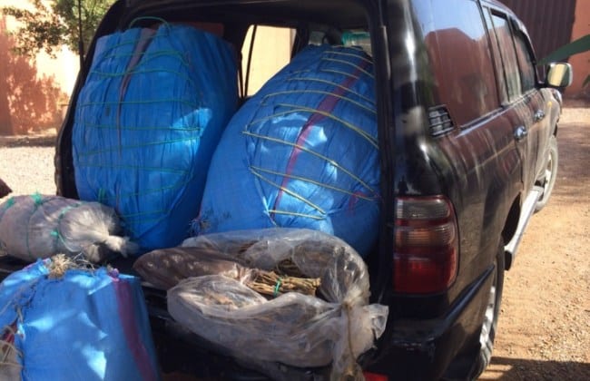 أكادير.. إحباط محاولة تهريب أزيد من نصف طن ديال “الكيف” و “طابة”