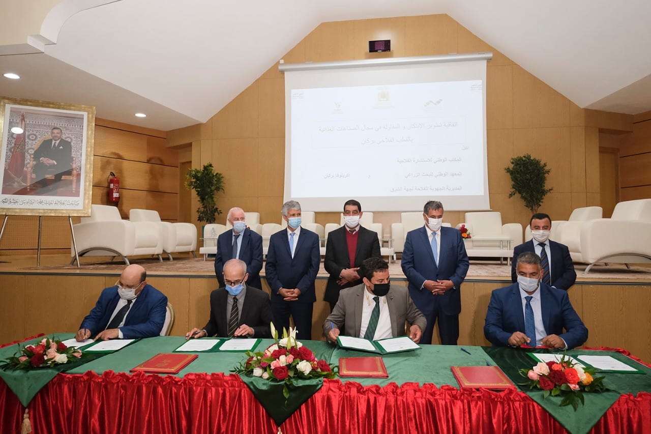 وزارة الفلاحة.. التوقيع على اتفاقيات لتفعيل استراتيجية الجيل الأخضر بإقليم بركان