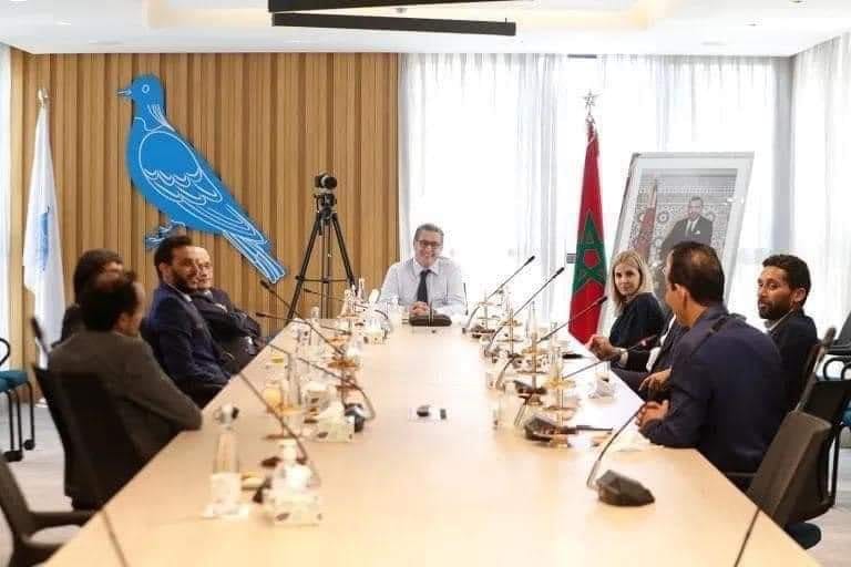 أخنوش يستقبل نخبة من الفنانين المغاربة ويشدّد على دور مهنيي القطاع في الرقي بالذوق العامّ