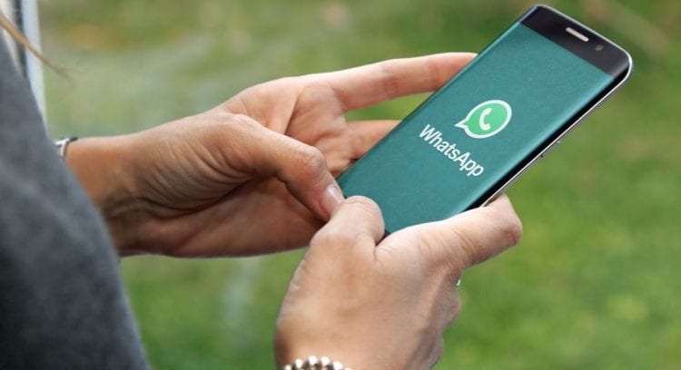 دراسة.. 84% من المغاربة يستخدمون واتساب بشكل يومي