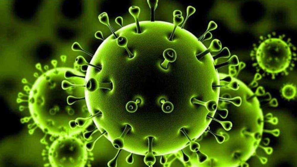 الجائحة.. الصحة العالمية تكشف عن مفاجأة صادمة تزيد الرعب