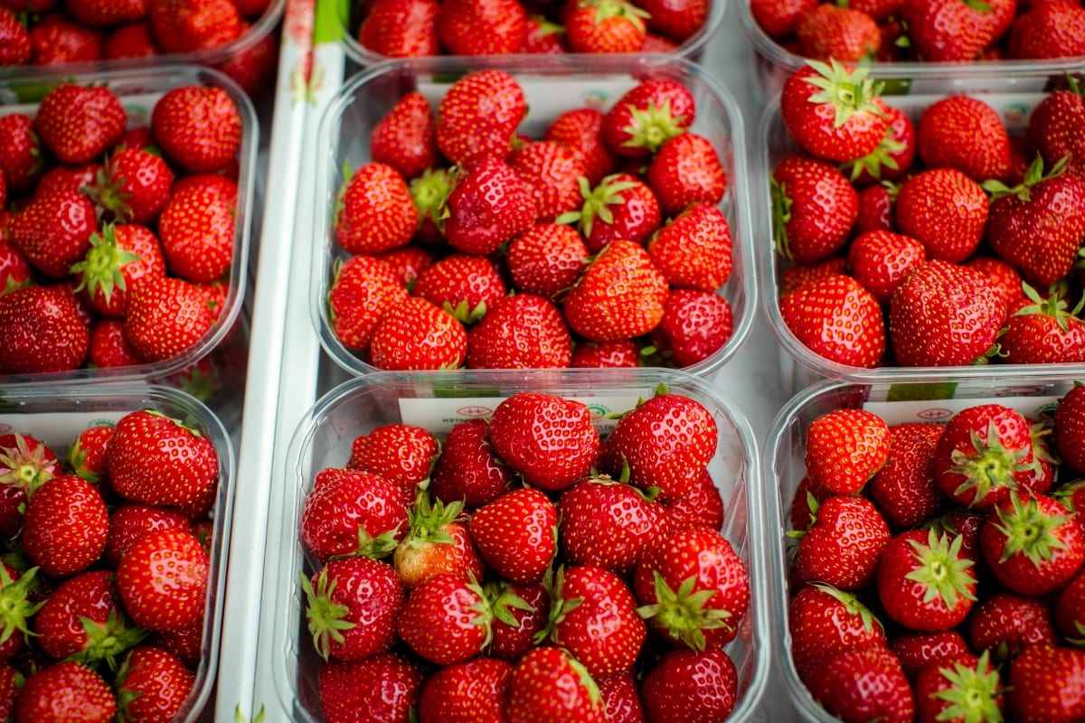 منها السرطان.. الفراولة تحمي جسم الإنسان من الإصابة بهذه الأمراض