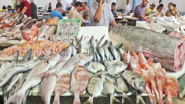 على رأسها أثمان الفواكه والأسماك واللحوم.. ارتفاع في أسعار المواد الغذائية وغير الغذائية