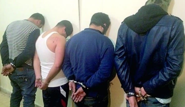 سرقوا منتجات فلاحية من ضيعة ملكية.. إلقاء القبض على أفراد عصابة نواحي صفرو