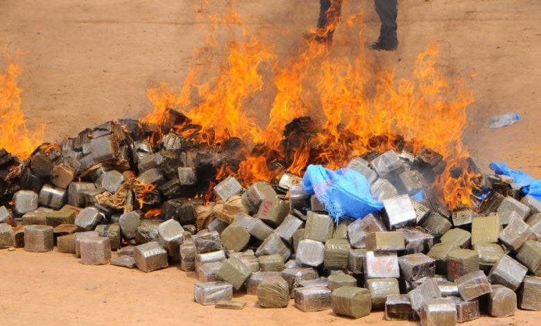 الدار البيضاء.. إتلاف أزيد من تسعة أطنان ديال “الحشيش”