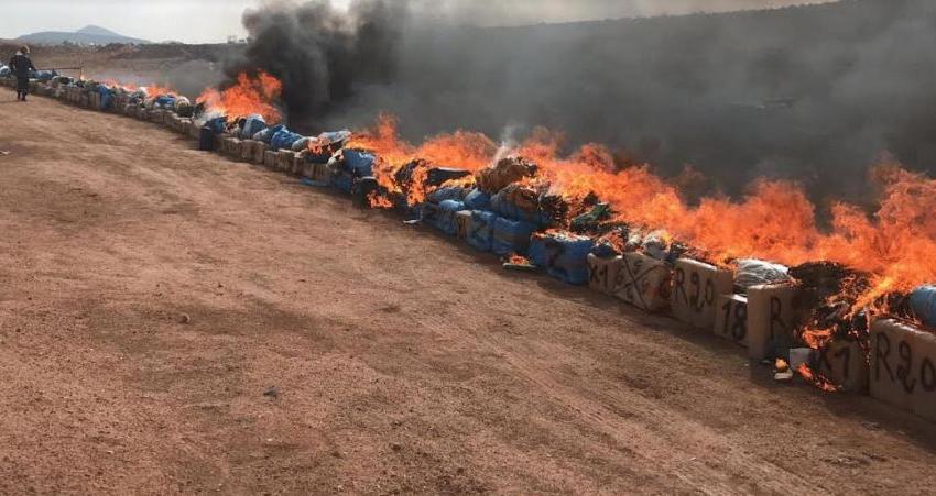 طانطان.. إتلاف أزيد من 16 طن من مخدر الشيرا