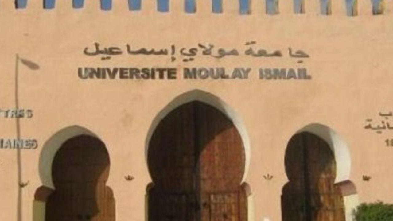 645 طالبا أجنبيا يتابعون دراساتهم بجامعة مولاي اسماعيل بمكناس