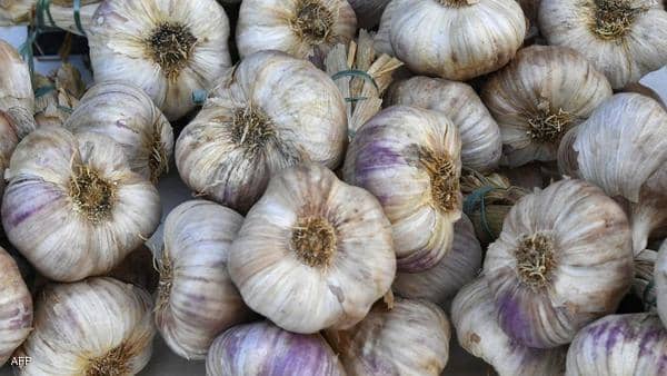 رغم رائحته الكريهة.. خمسة فوائد عظيمة للثوم