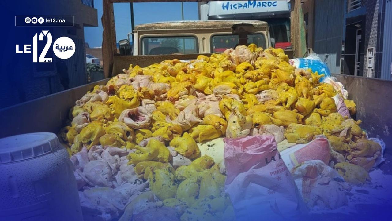 شاهد.. حجز كمية هائلة من الدجاج في القنيطرة كانت في طريقها إلى مطعم شهير في “الفيلاج”