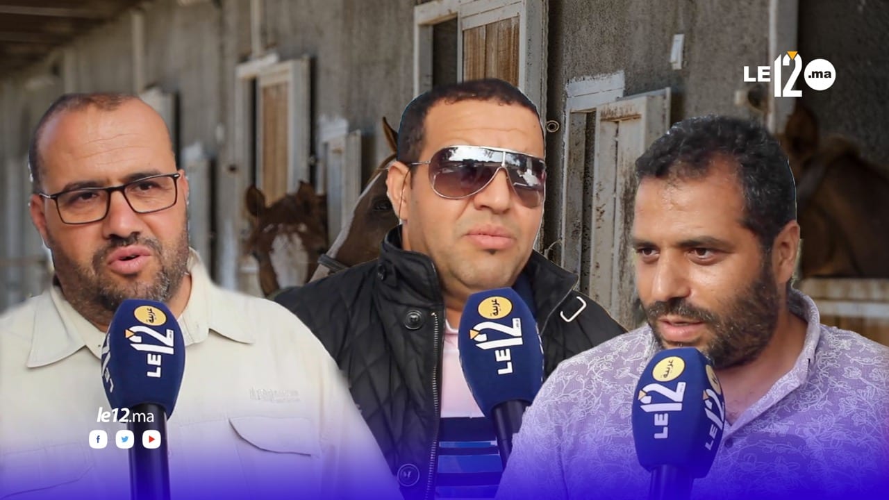 شاهد.. ما لم تعرفه عن رياضة ركوب الخيل