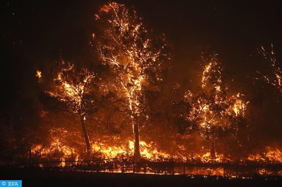 اليونان .. حرائق الغابات تأتي على عشرات المنازل