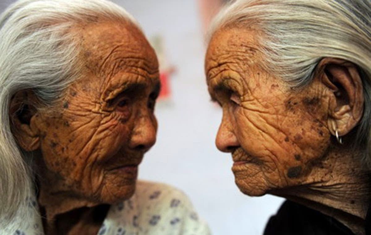 سر الصحة وطول العمر لدى المعمرين اليابانيين.. المجتمع الميكروبي في أمعائهم