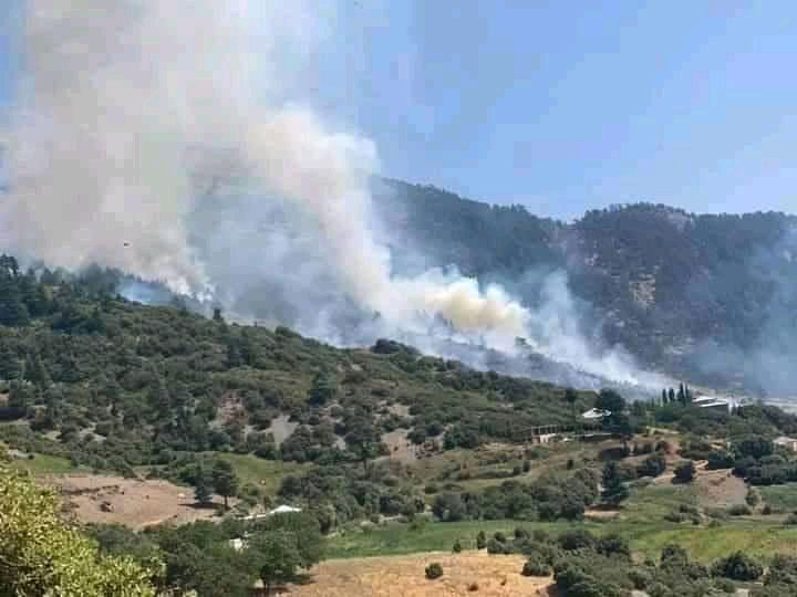 اندلاع حريق مهول بغابة قرب منطقة كتامة.. والطائرات الصفراء تشارك في عملية الإطفاء