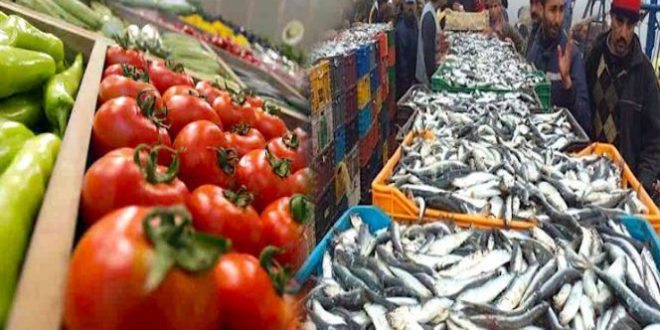 اتفاقيتا الفلاحة والصيد البحري.. حكم محكمة الاتحاد الأوروبي “لن يغير أي شيء على أرض الواقع بالنسبة للفاعلين الاقتصاديين المغاربة”