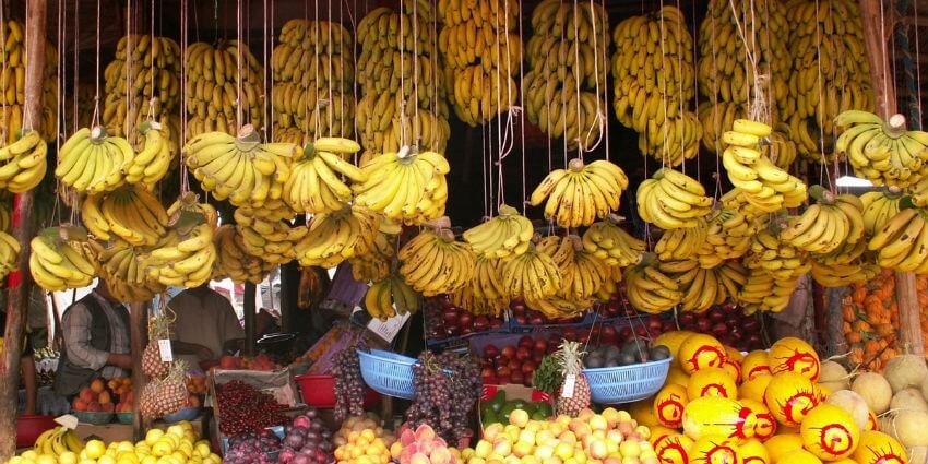 “البنان الفاسد”.. “أونسا” تكشف الحقيقة وهذه هي الدول التي يستورد منها المغرب فاكهة الموز