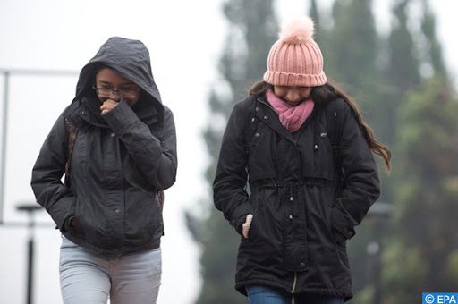 الأرصاد الجوية.. أجواء باردة مع تكون كتل ضبابية في توقعات طقس الأربعاء