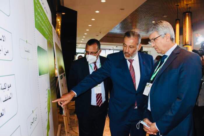 القرض الفلاحي رافعة تمويلية لإنجاح مخطط تنمية الفلاحة