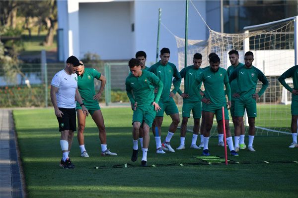 الأسود يجرون أول حصتين تدريبيتين بياوندي