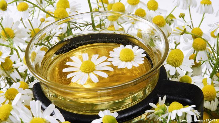 تعرفوا عليها.. عشبة بسيطة بفوائد مدهشة