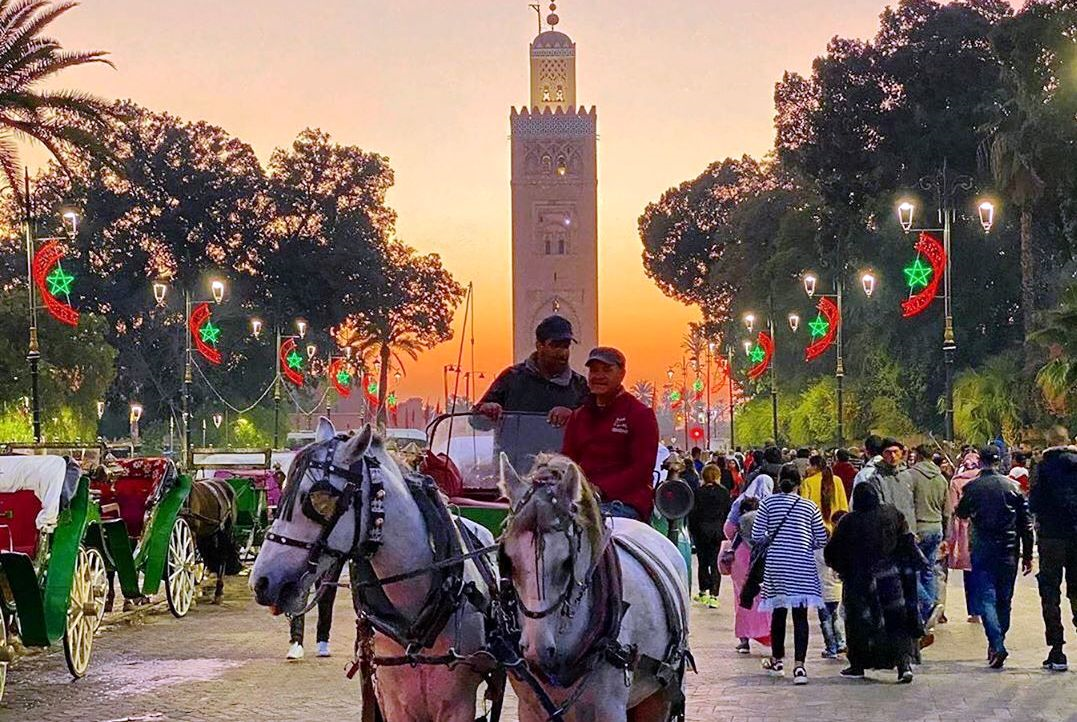 بايتاس.. الحكومة تصادق على تنظيم مهنة المرشد السياحي
