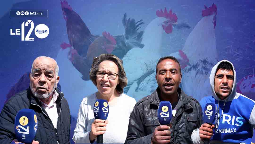 المغاربة وسوق الدجاج..كيف تفرق بين الفروج “البلدي” من “الكروازي”؟