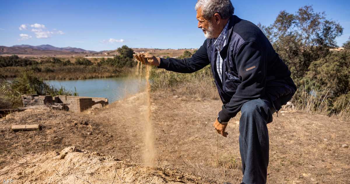 المغرب.. الزراعة المستدامة هي الحل لضمان الأمن الغذائي