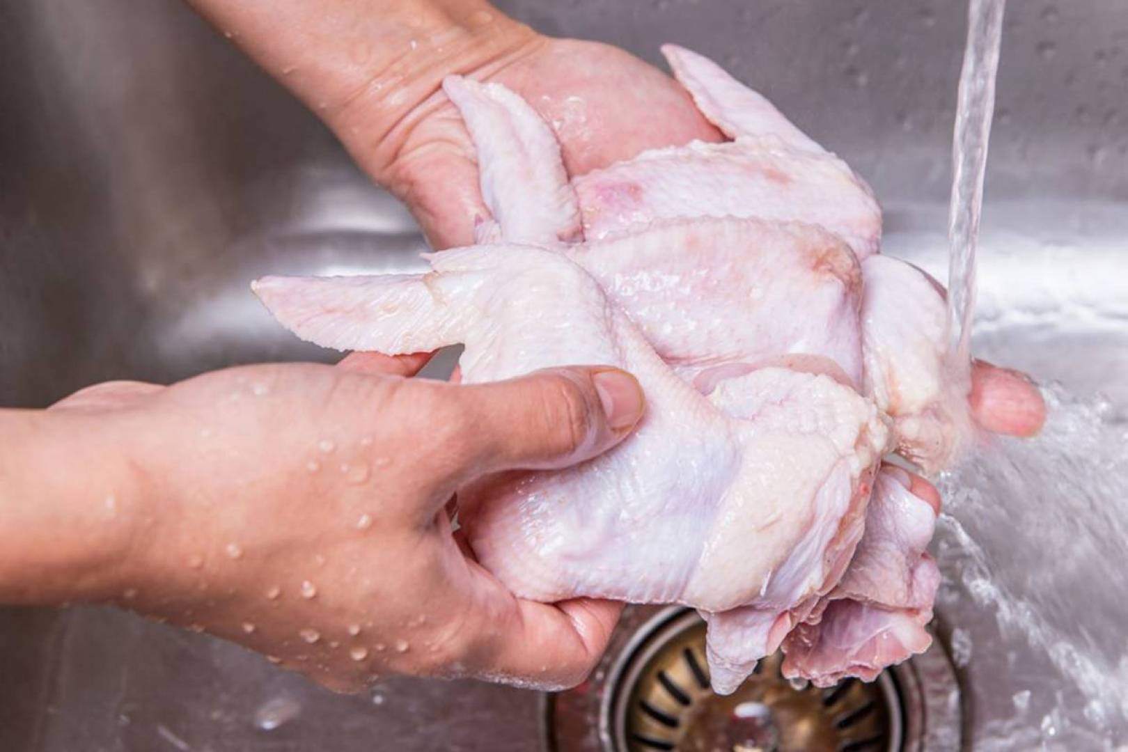 الدجاج.. العلماء يوضّحون كيفية غسله بأمان