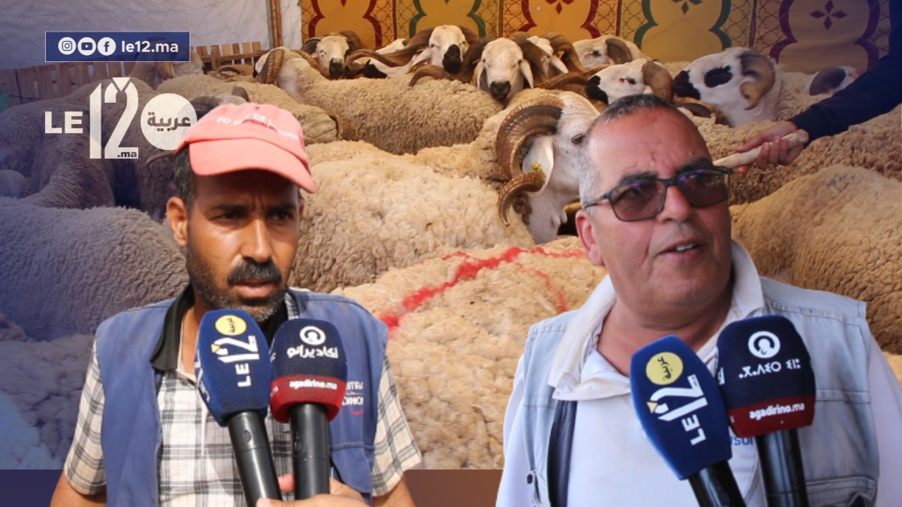 اليوم الجمعة من أكادير. شاهد الخير والإقبال كاين والخروف كلها والثمن ديالو