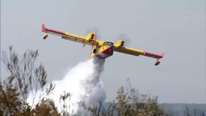 وزان.. النيران تلتهم 400 هكتار من الغابات