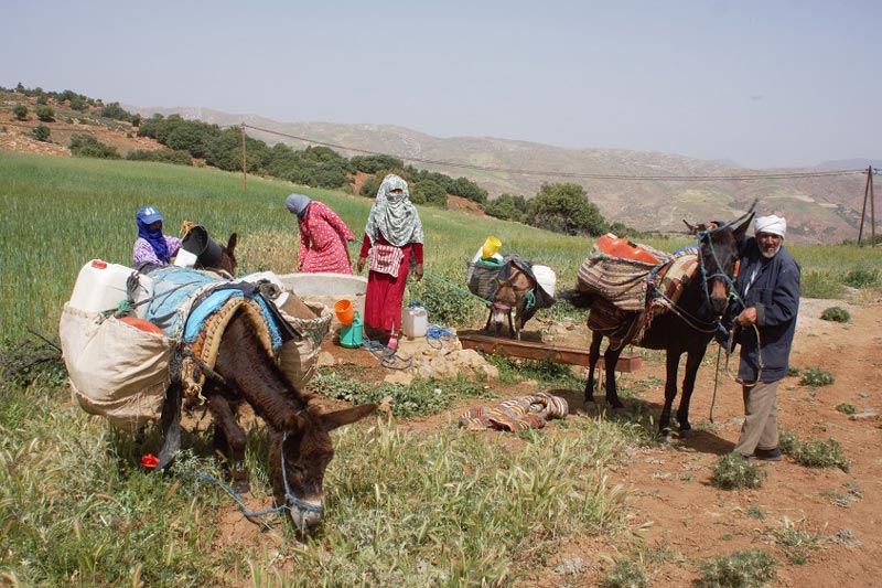 دخلنا الأبواب الأولى لأزمة شح المياه