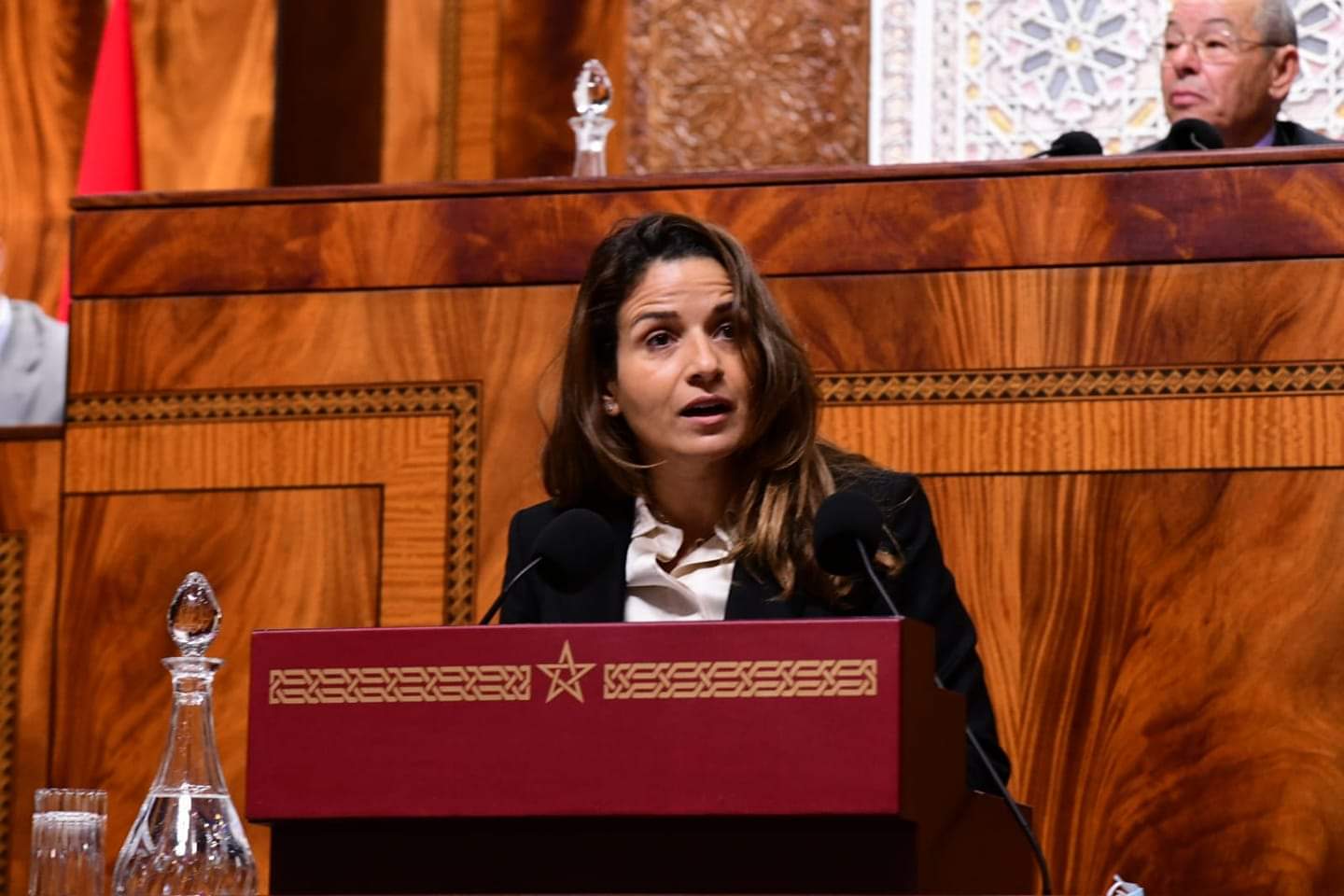 نيويورك :المغرب رائد عالمي في مجال الطاقات المتجددة