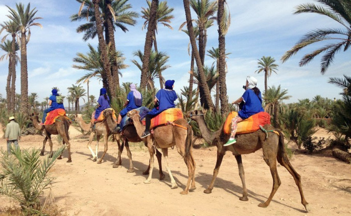 المغرب.. انتعاش السياحة البيئية