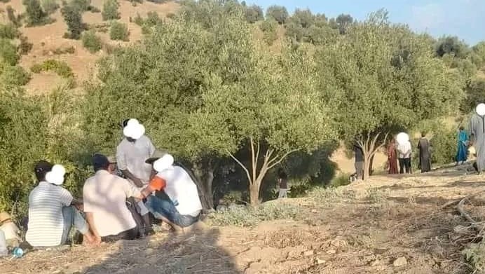 بسبب الزيتون.. شقيق يقـ.ـتل شقيقه الأكبر ضواحي وزان