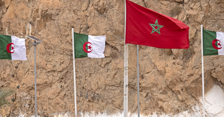 الجزائر تُصعد وترفض توفير رحلة مباشرة للأسود للمشاركة في “الشان”